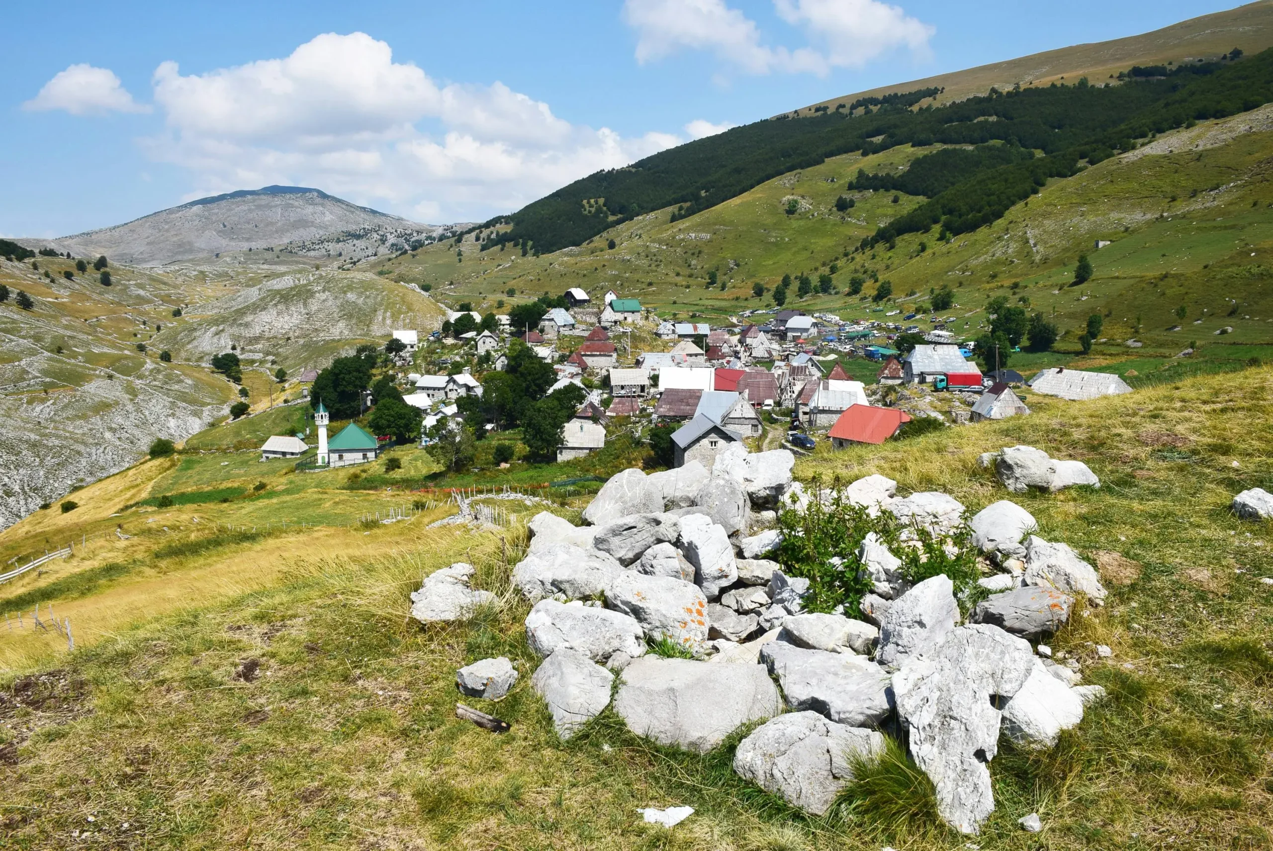 ernad-pandzic-