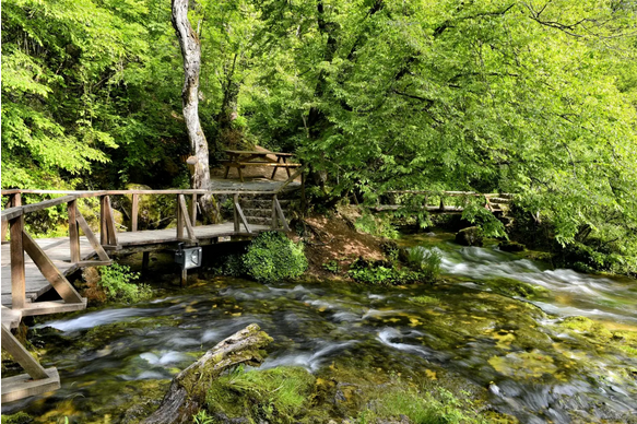 Vevčani - izvori